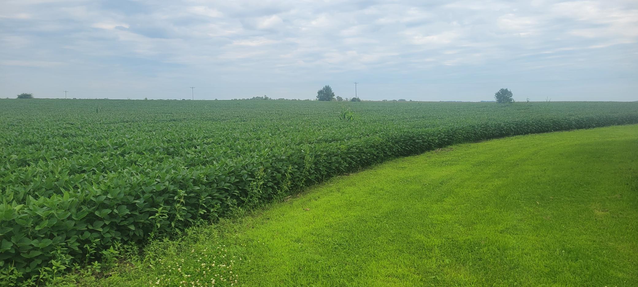 35755 200th Street Battle Lake, MN 56515 - Photo 38 of 55