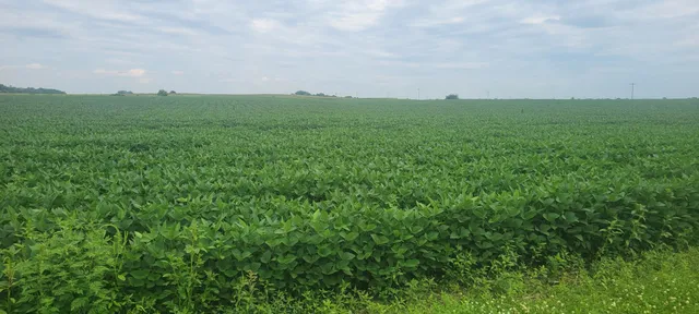 $1 | 35755 200th Street, Battle Lake, MN 56515