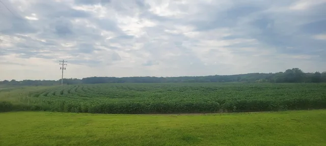 $1 | 35755 200th Street, Battle Lake, MN 56515