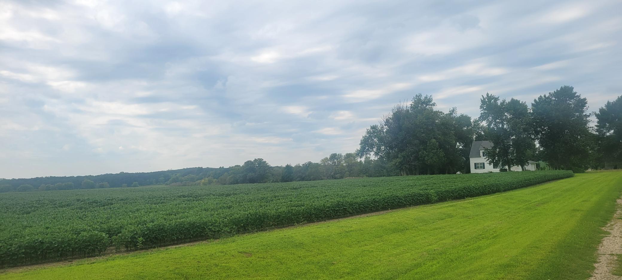 35755 200th Street Battle Lake, MN 56515 - Photo 7 of 55