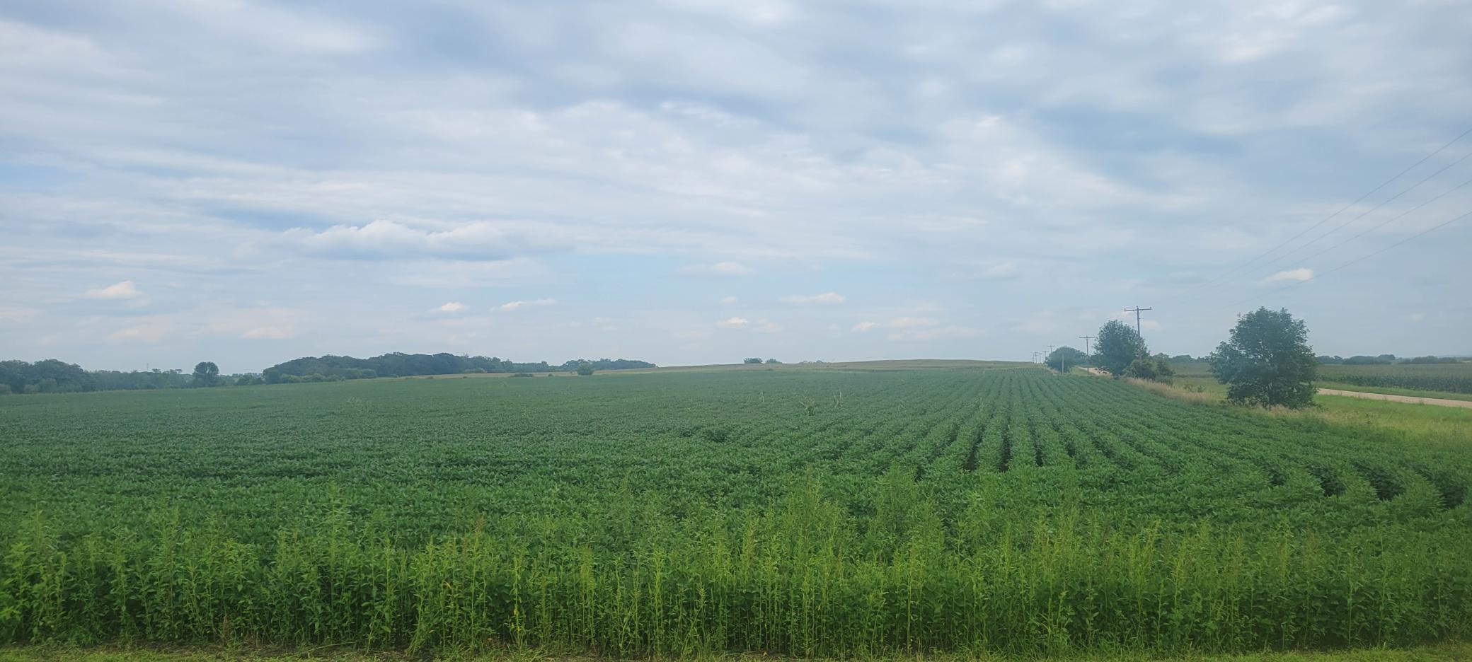 35755 200th Street Battle Lake, MN 56515 - Photo 8 of 55