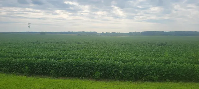 $1 | 35755 200th Street, Battle Lake, MN 56515