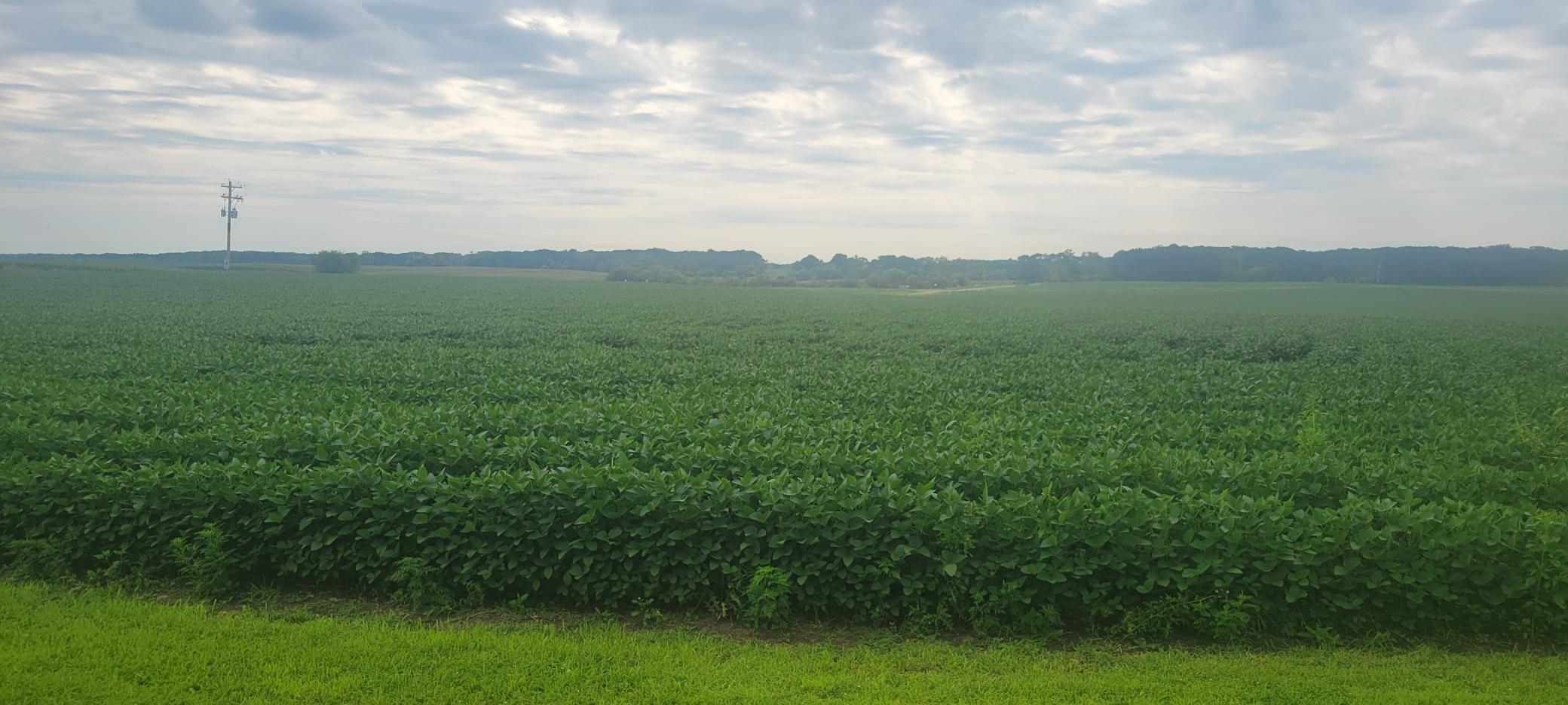 35755 200th Street Battle Lake, MN 56515 - Photo 9 of 55