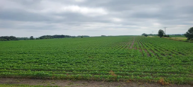 $1 | 35755 200th Street, Battle Lake, MN 56515