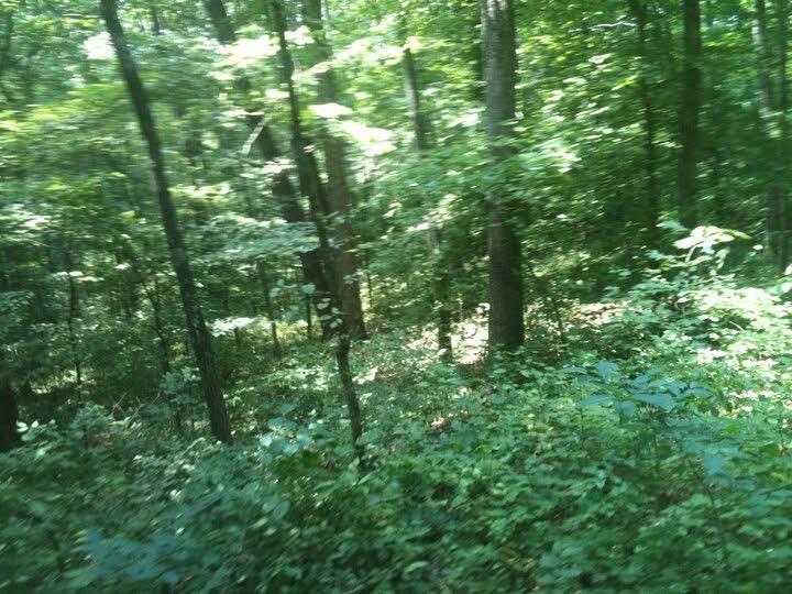 9999 Hales Fork Road Flat Lick, KY 40935 - Photo 27 of 47 IMG_0590