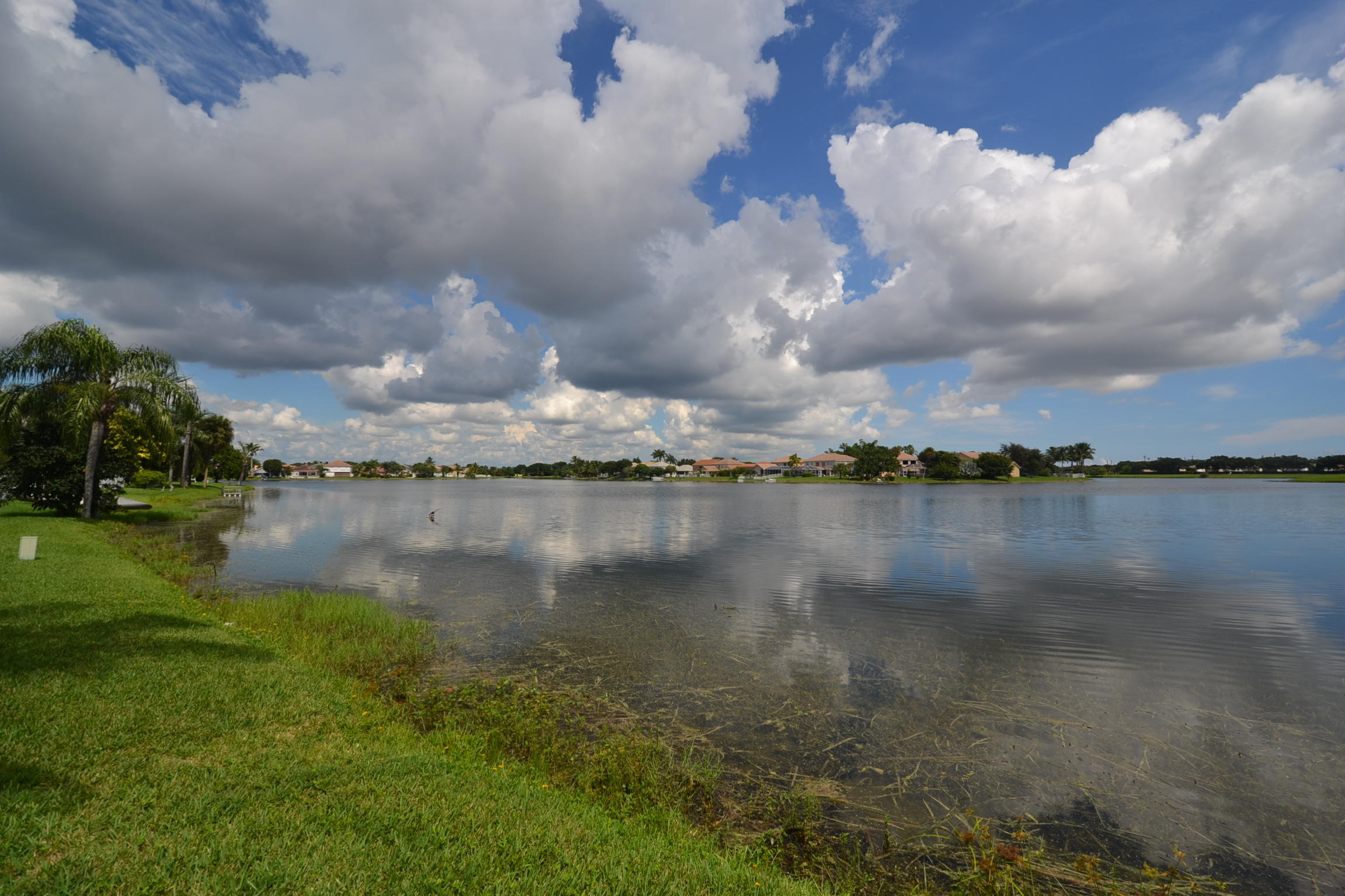 7271 Shell Ridge Terrace Lake Worth, FL 33467 - Photo 5 of 52 view west