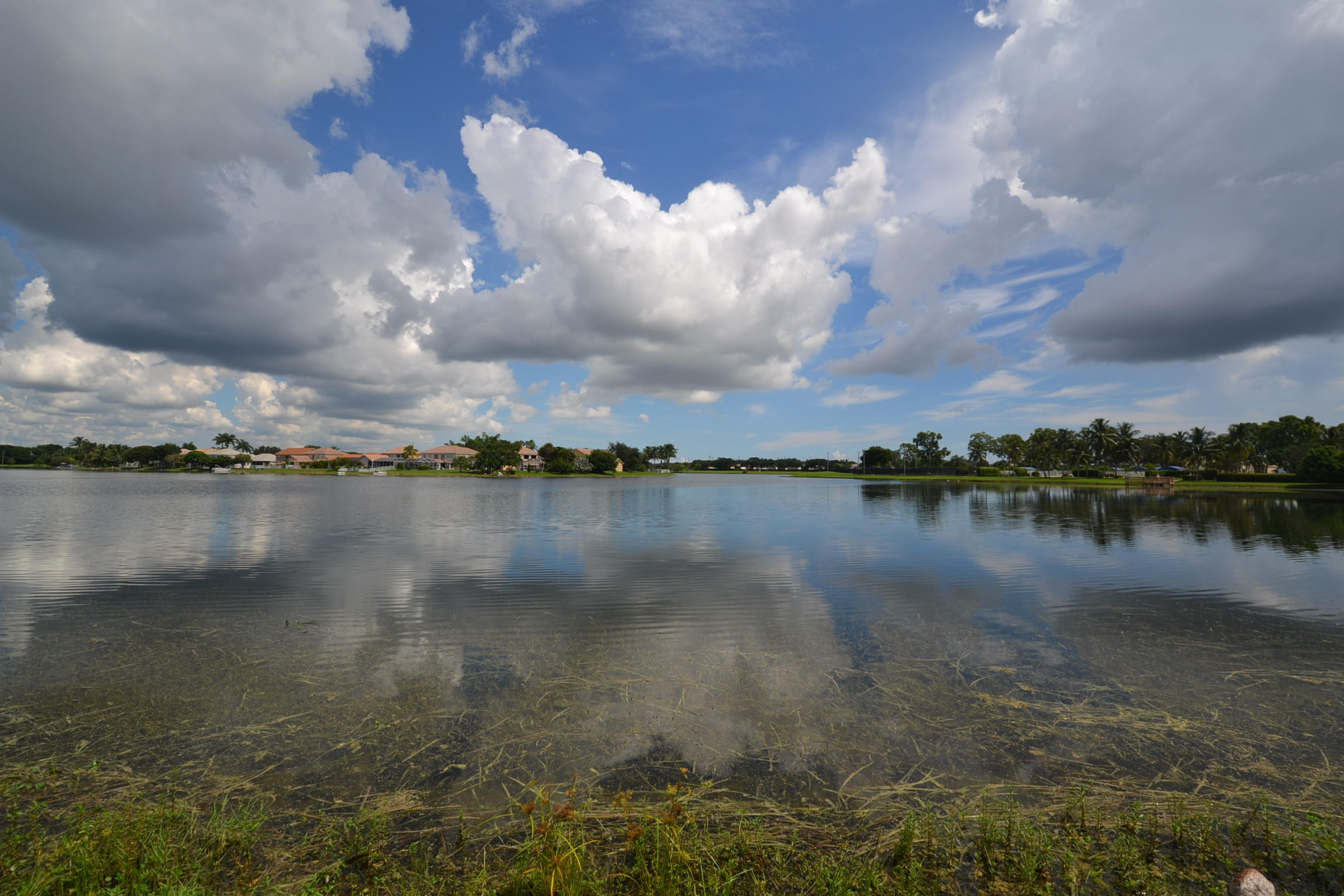 7271 Shell Ridge Terrace Lake Worth, FL 33467 - Photo 7 of 52 view north