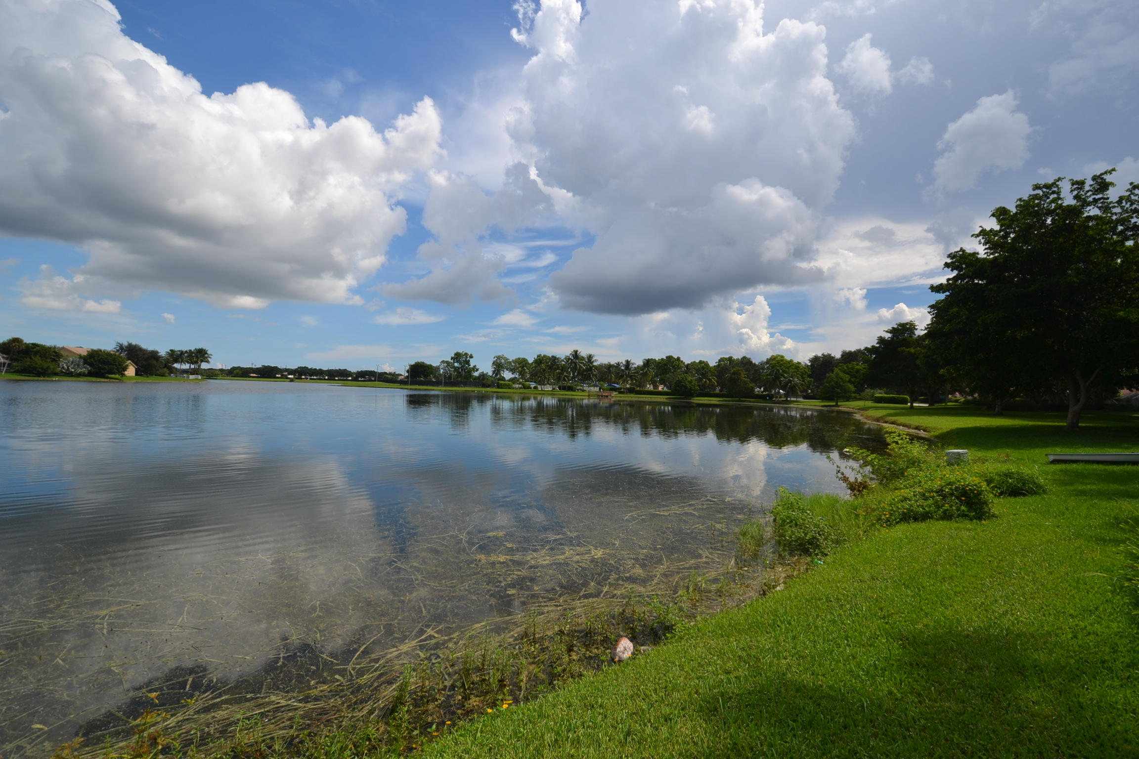 7271 Shell Ridge Terrace Lake Worth, FL 33467 - Photo 8 of 52 view east