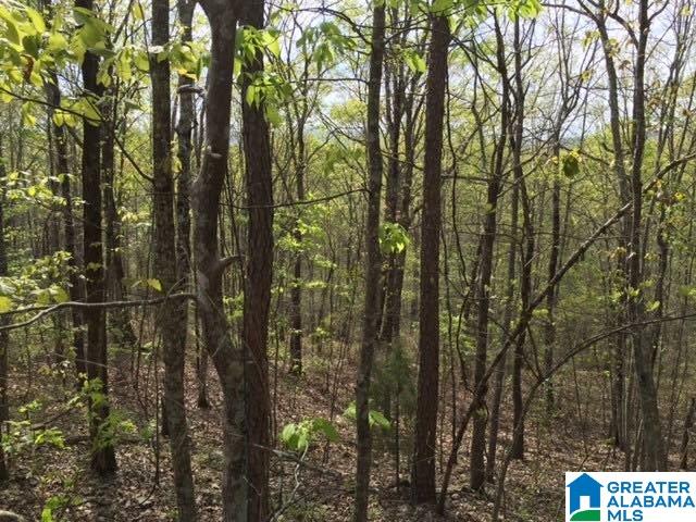 2 Grande View Drive, Unit 2 Springville, AL 35146 - Photo 1 of 3