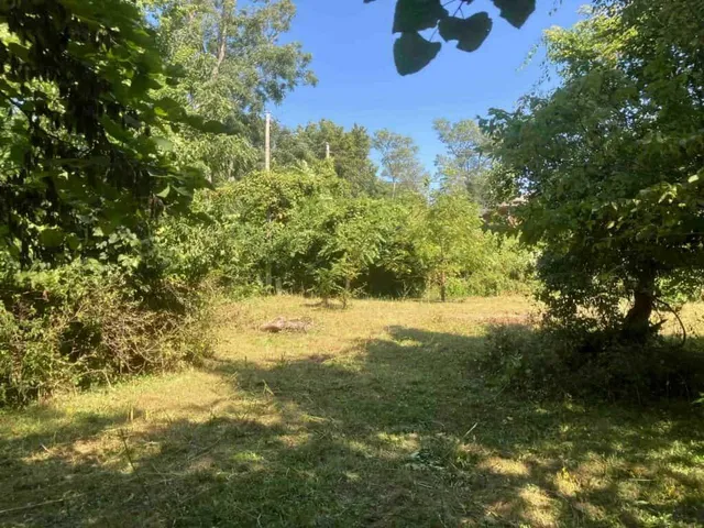 $10,000 | 1811 South Brookside Avenue, Independence, MO 64052