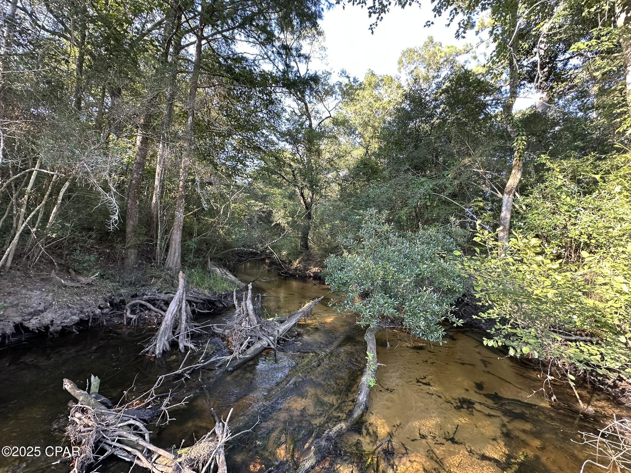 Tract#6201 Doyle Morgan Road DeFuniak Springs, FL 32433 - Photo 6 of 39