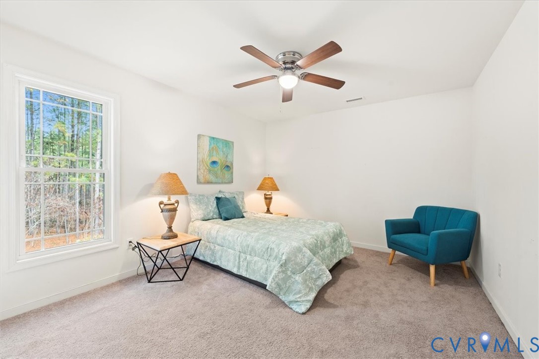 6175 Walnut Tree Drive Powhatan, VA 23139 - Photo 16 of 33