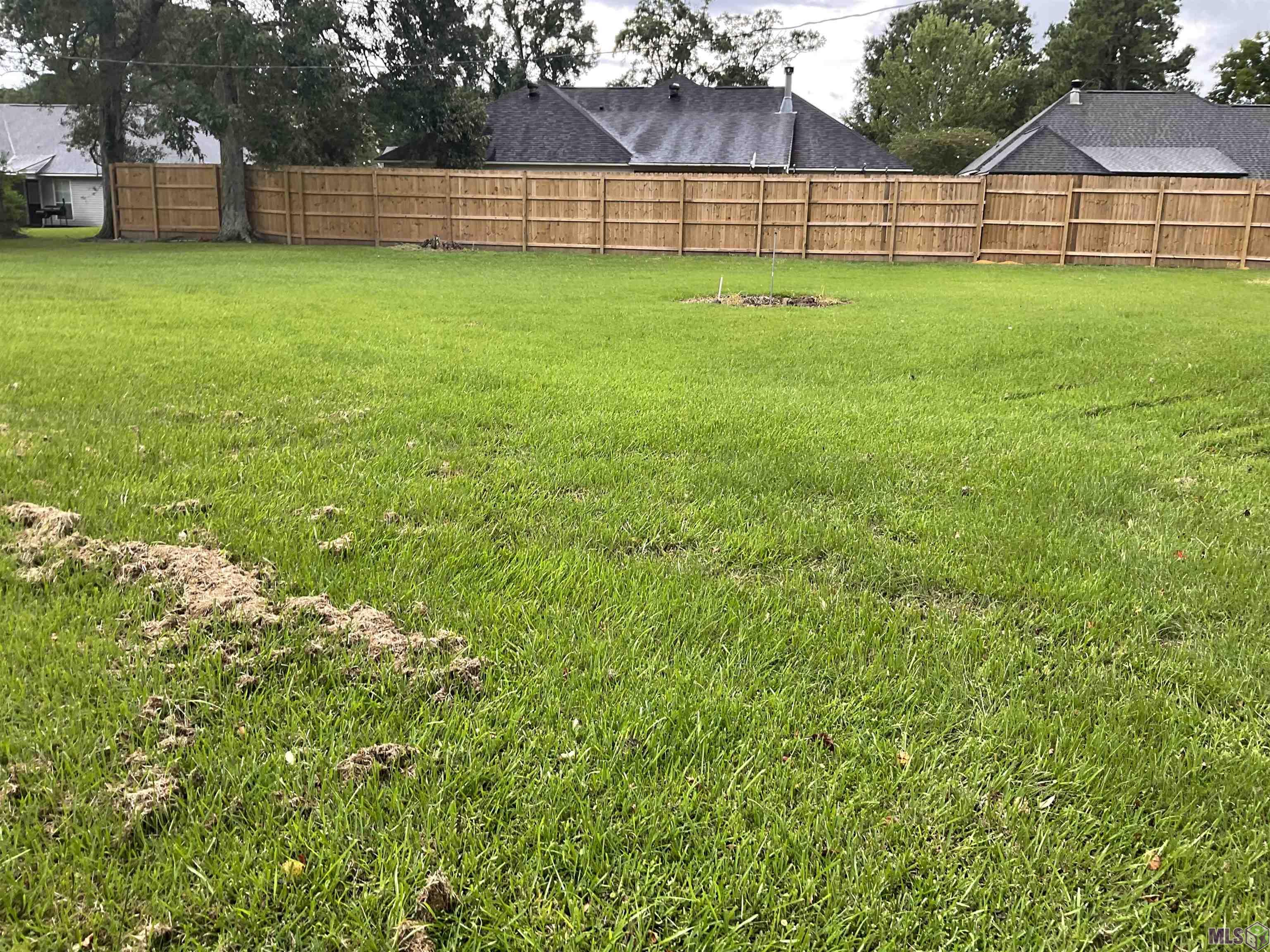14206 Bluff Road Prairieville, LA 70769 - Photo 17 of 17 View from rear of home south