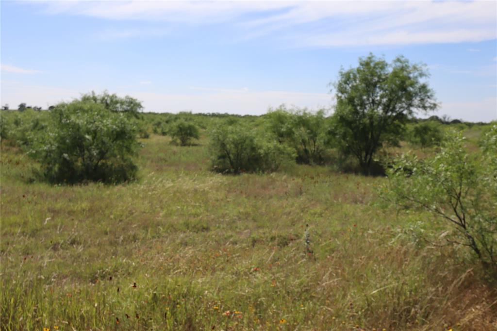 807 County Road 215 Rising Star, TX 76471 - Photo 1 of 9 a big yard with lots of green space