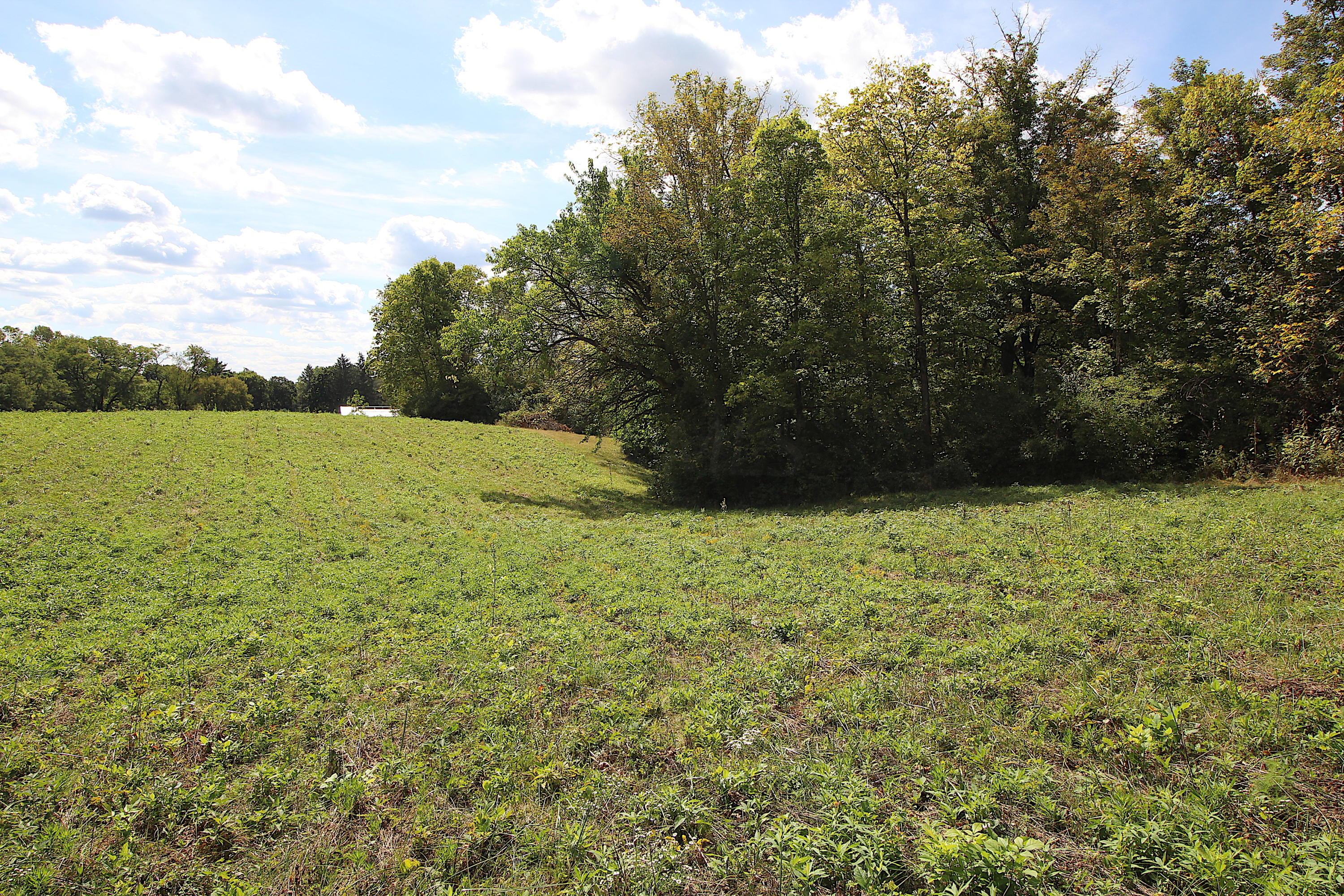 2841 Pollock Road Delaware, OH 43015 - Photo 11 of 23