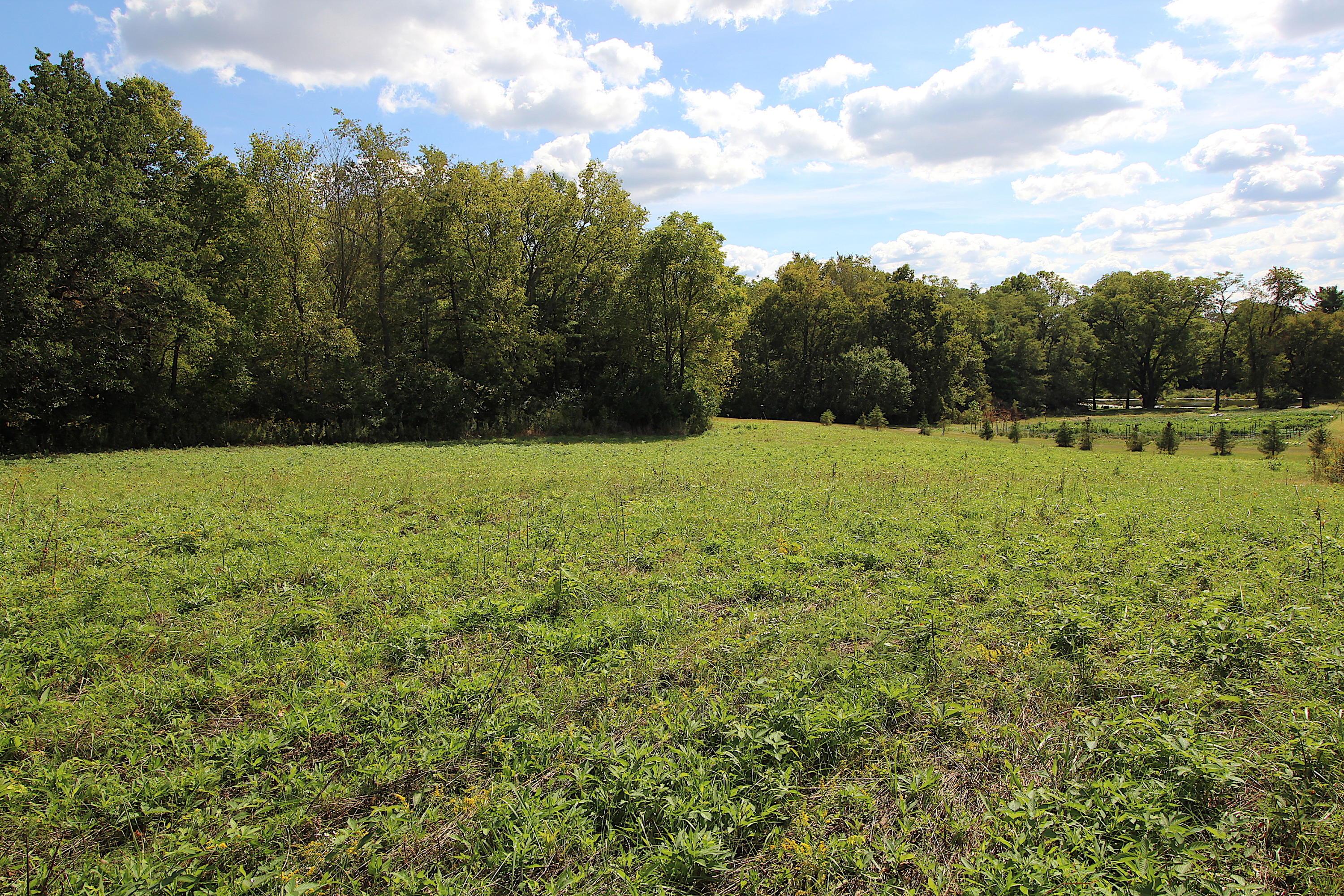 2841 Pollock Road Delaware, OH 43015 - Photo 4 of 23