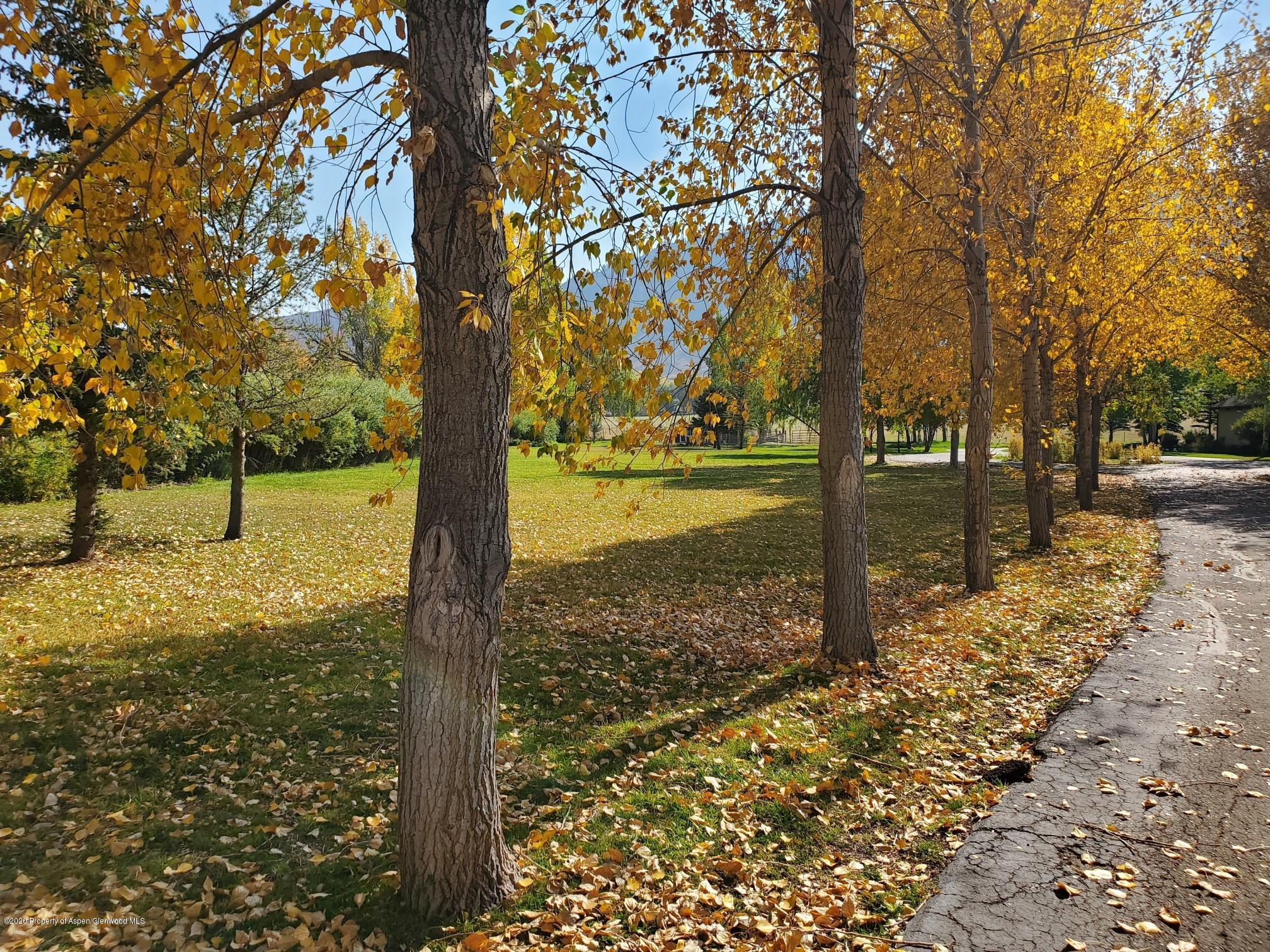 277 Hooks Lane Basalt, CO 81621 - Photo 1 of 3 a view of a yard with an trees