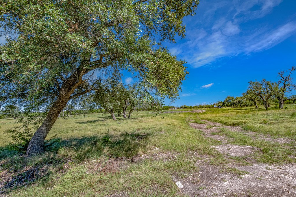 8940 South Ranch Road 783, Unit 14 Harper, TX 78631 - Photo 2 of 8