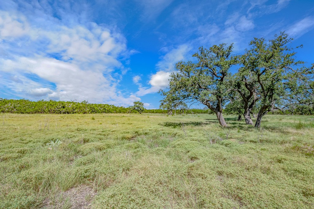 8940 South Ranch Road 783, Unit 14 Harper, TX 78631 - Photo 3 of 8