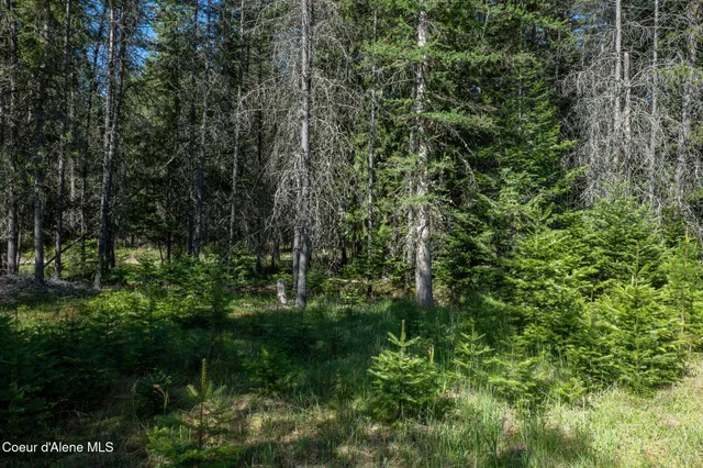 $269,000 | 1201 Robinson Drive, Priest River, ID 83856