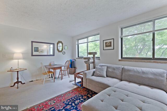 1633 D Street Southeast Washington, DC 20003 - Photo 2 of 38 a living room with furniture and a window