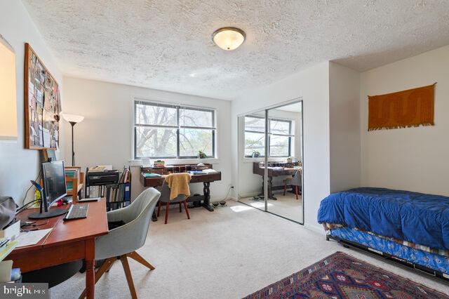 1633 D Street Southeast Washington, DC 20003 - Photo 31 of 38 a living room with furniture and a window