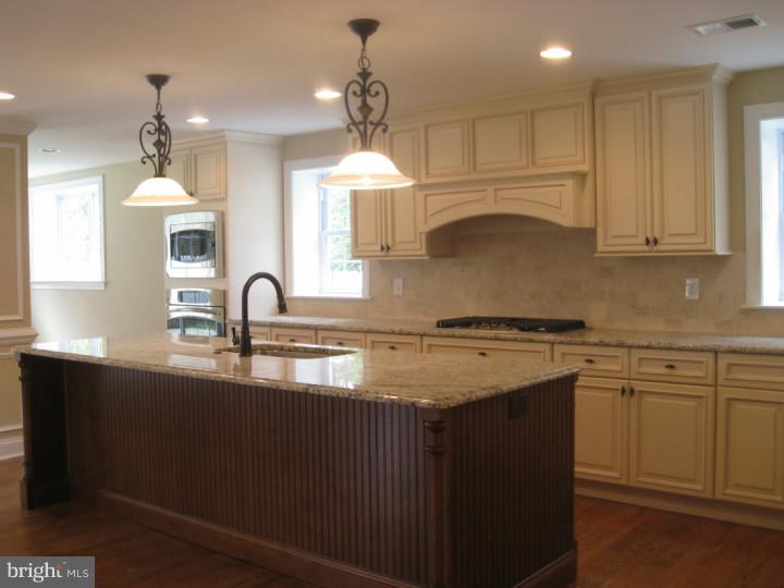 310 Maplewood Road Merion Station, PA 19066 - Photo 8 of 19 Kitchen