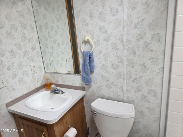 a bathroom with a sink a toilet and mirror