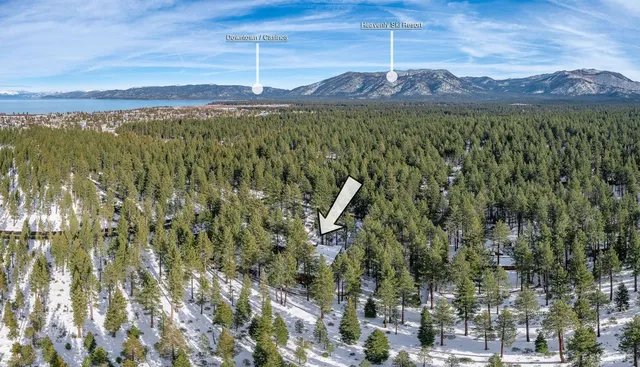 a view of a city with lush green forest