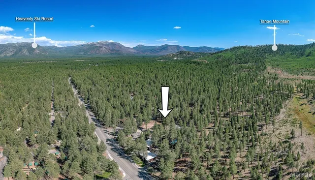 a view of a city with tall trees