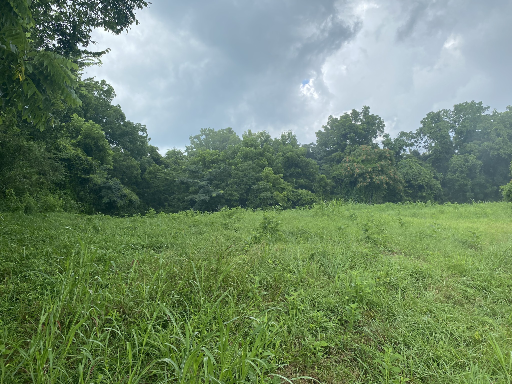 0 Johnson Road Pulaski, TN 38478 - Photo 2 of 3