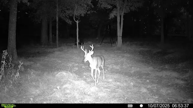 $950,000 | 2387 Forehand Road, Trinidad, TX 75163