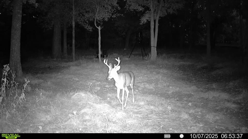 2387 Forehand Road Trinidad, TX 75163 - Photo 22 of 25