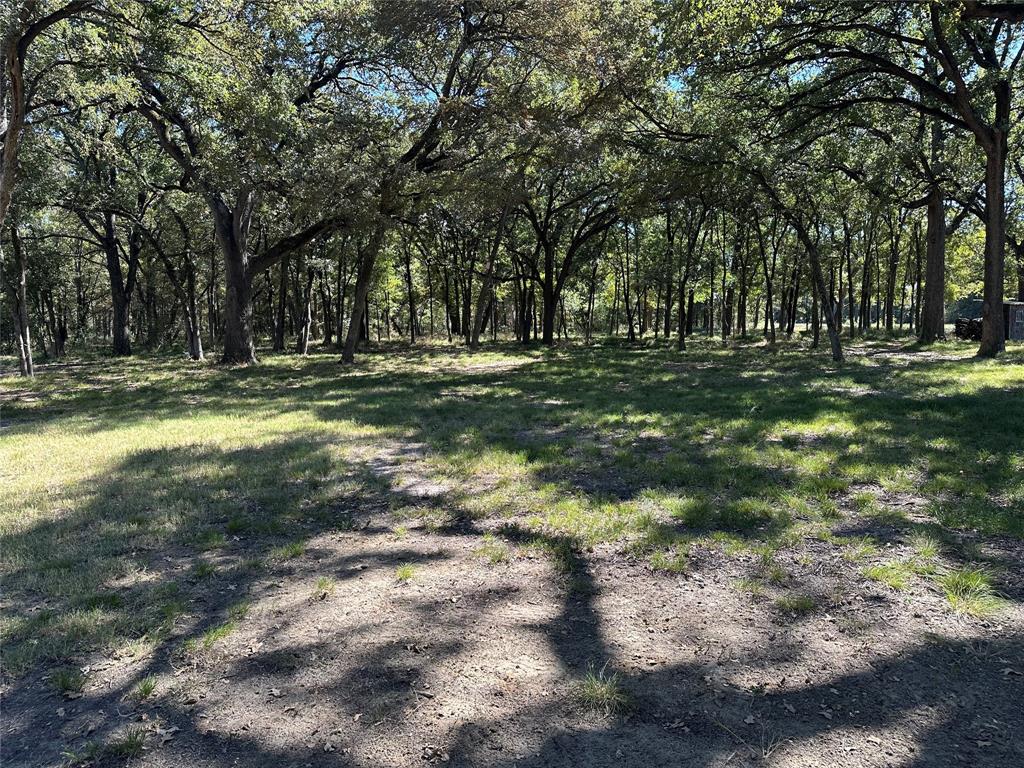 2387 Forehand Road Trinidad, TX 75163 - Photo 23 of 25 a view of a trees in a yard