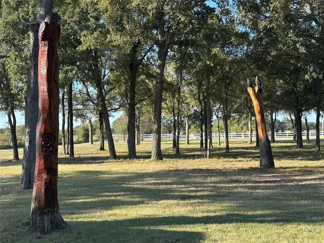 a view of a swimming pool with an outdoor space