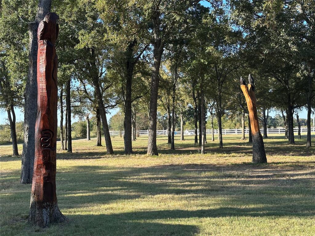 2387 Forehand Road Trinidad, TX 75163 - Photo 4 of 25