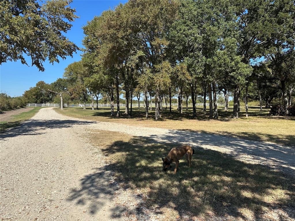2387 Forehand Road Trinidad, TX 75163 - Photo 7 of 25 a view of road with trees