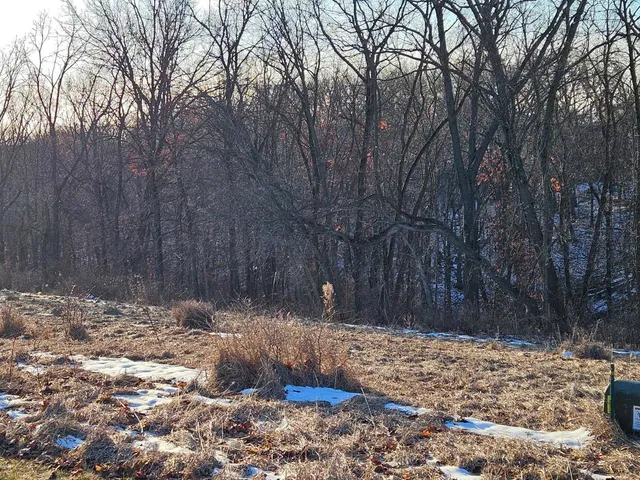 a view of a backyard of a house