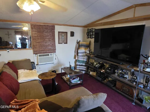 a bathroom with a toilet and a shower curtain