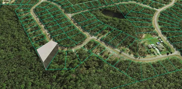 a view of a plant in a garden