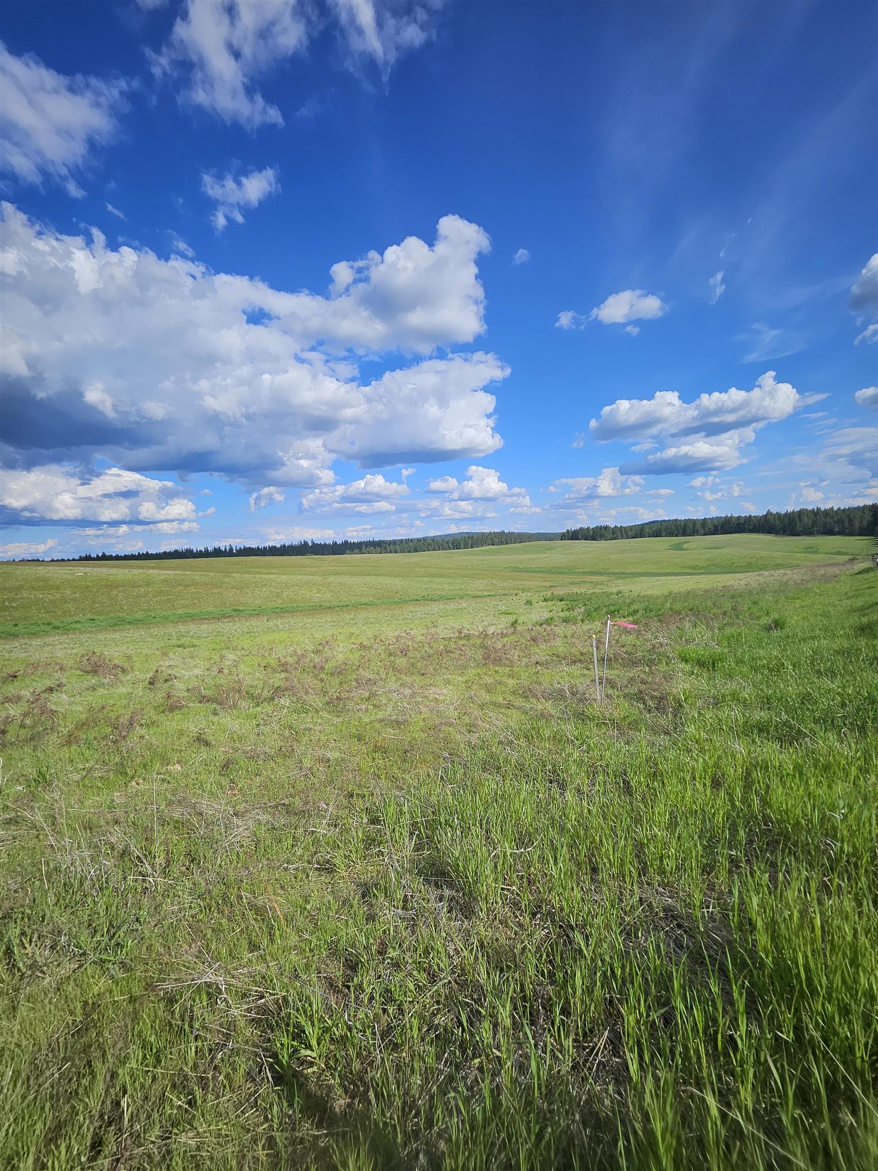 52-xx Wagner Road Springdale, WA 99173 - Photo 14 of 15