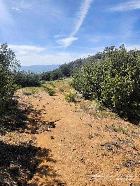 0 High Ridge Road Caliente, CA 93518 - Photo 5 of 8 Gallery Image 5