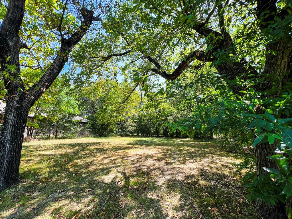 1616 Cedar Street Bonham, TX 75418 - Photo 2 of 3 a view of a yard with a tree
