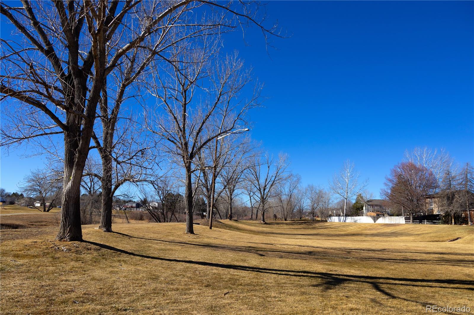 4939 East 124th Way Thornton, CO 80241 - Photo 24 of 24 a view of a yard with trees
