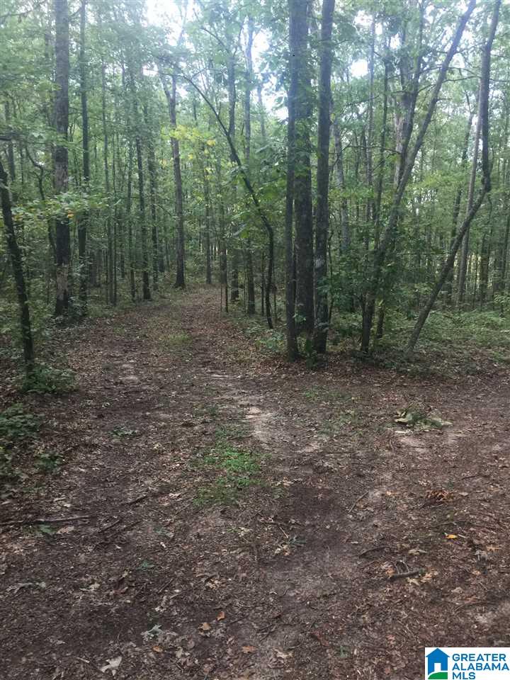 241 Sulphur Springs Road, Unit 9 89 ACRES Lincoln, AL 35096 - Photo 36 of 44