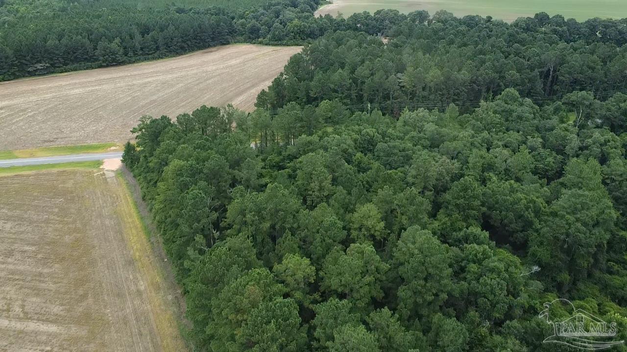7600 Bratt Road Century, FL 32535 - Photo 19 of 41