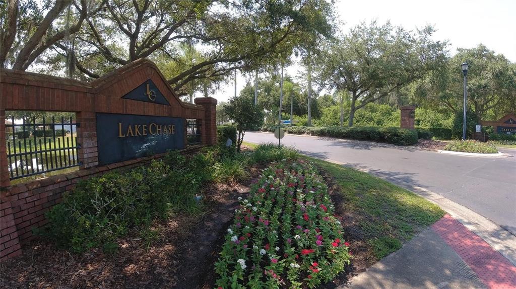 9704 Lake Chase Island Way, Unit 9704 Tampa, FL 33626 - Photo 21 of 23 a view of a street with a flower garden