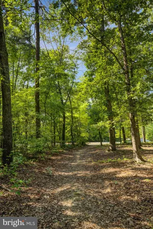 $390,999 | 36150 Wilderness Shores Way, Locust Grove, VA 22508