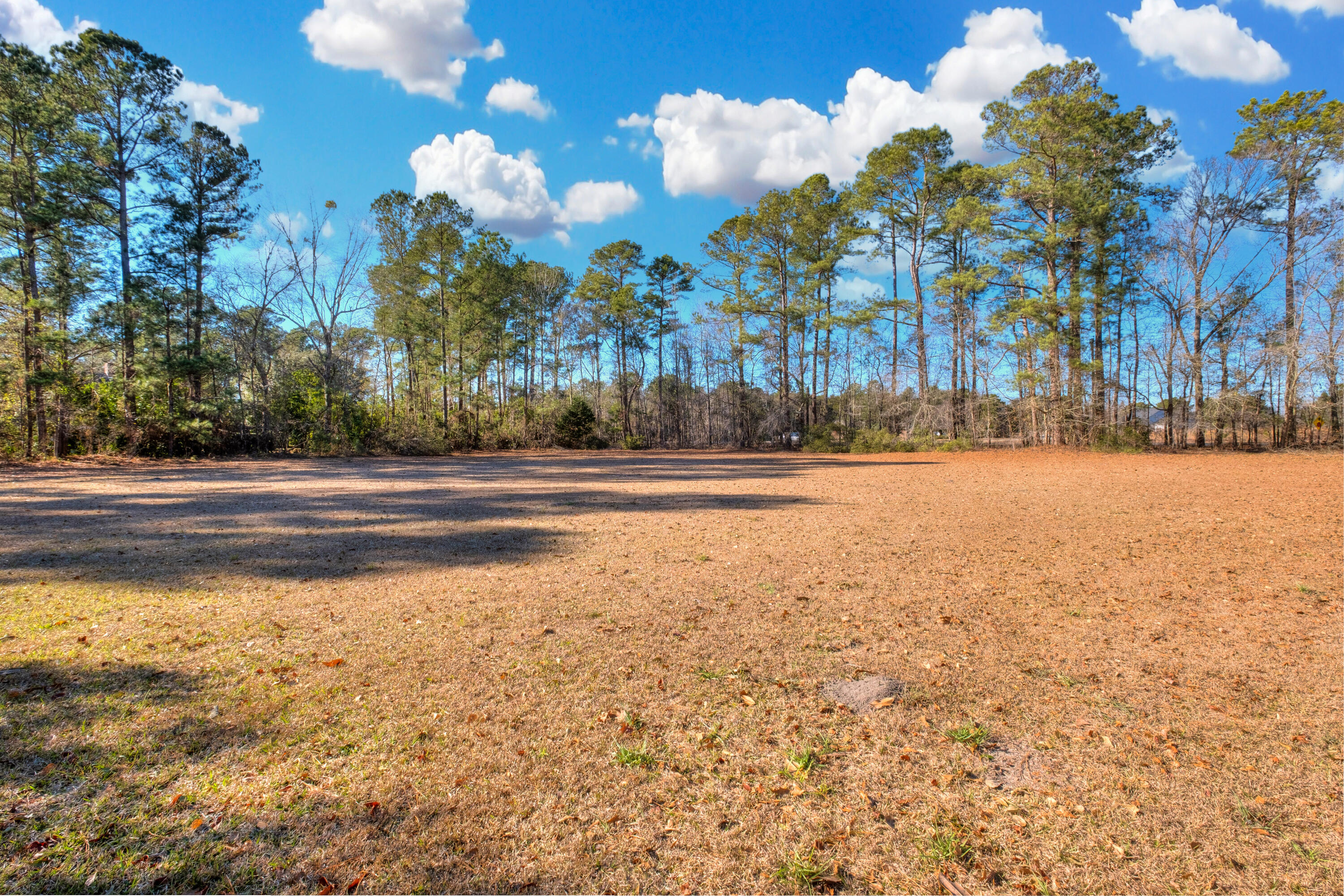 1562 Hickory Ridge Circle Manning, SC 29102 - Photo 52 of 56 13