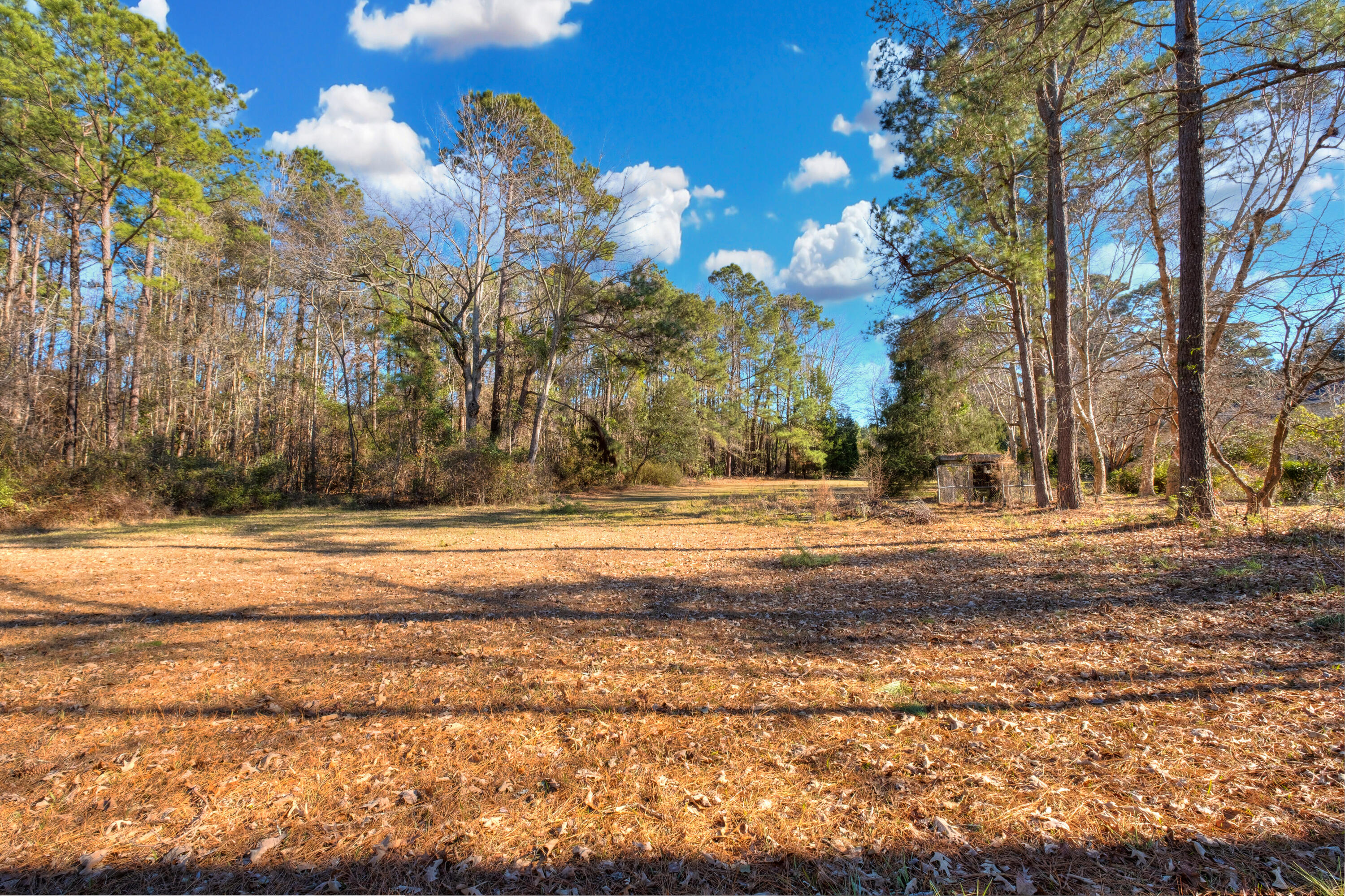 1562 Hickory Ridge Circle Manning, SC 29102 - Photo 55 of 56 16